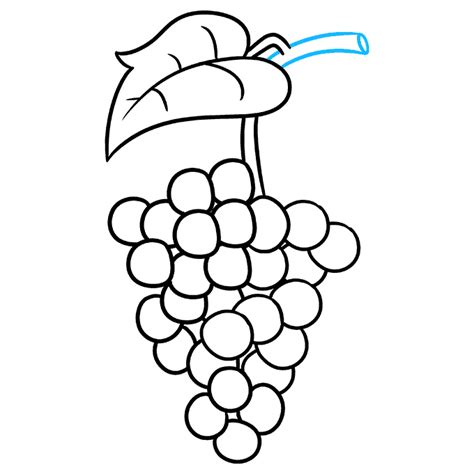 How To Draw Grapes Really Easy Drawing Tutorial