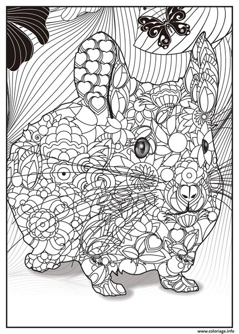 Coloriage Bebe Lapin Adulte Animaux