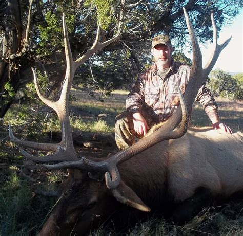 Elk Hunting In New Mexico Trophy Ridge Outfitters