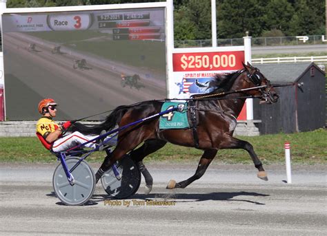 U.S. Trotting Assn. on Twitter: "Ducharme, Okusko dominate in 2-year