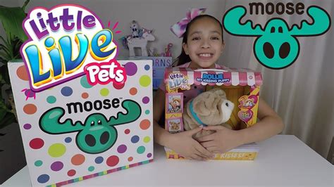 New Little Live Pets Rollie My Kissing Puppy Unboxing Youtube