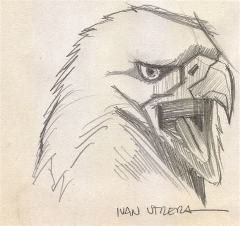 Aguila A Lápiz Eagle Drawing Drawings Drawing Sketches
