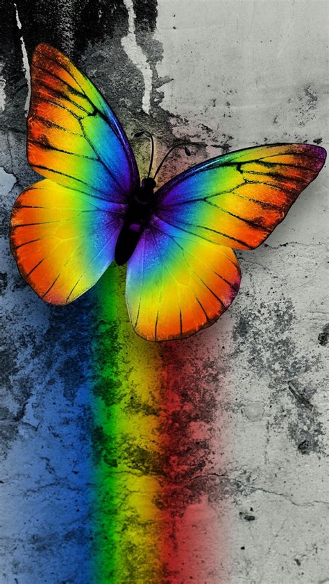 Rainbow Butterfly Butterfly Wallpaper Butterfly Background Rainbow Pictures