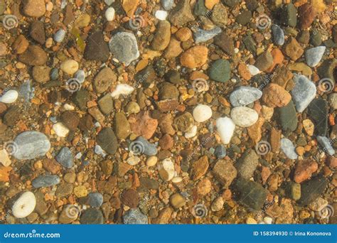 On Lake Baikal Through Clear Water Small Colored Stones Are Visible