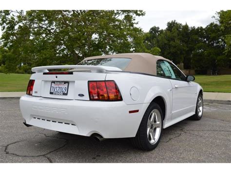 2001 Ford Mustang Svt Cobra Convertible For Sale Cc