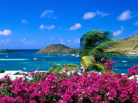 De zomer is geen zomer deze zomer. Free download Mooie zomer achtergronden hd wallpaper zomer ...