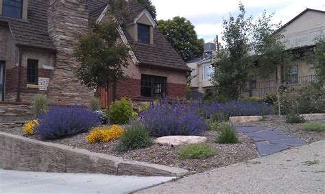 30 Drought Tolerant Front Yard Landscaping Decoomo