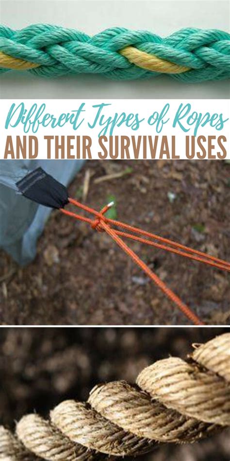 Different Types of Ropes and Their Survival Uses