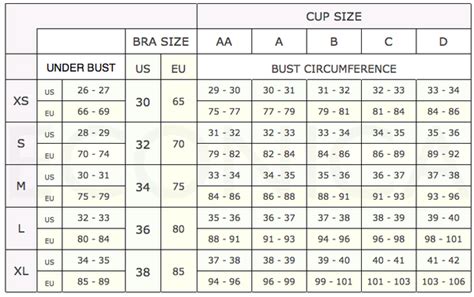 bra size chart us to eu the chart