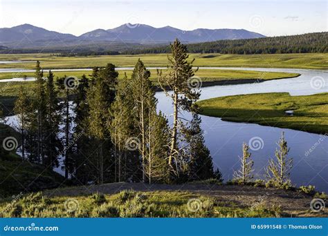 Hayden Valley Yellowstone National Park Stock Photo Image Of Mountain