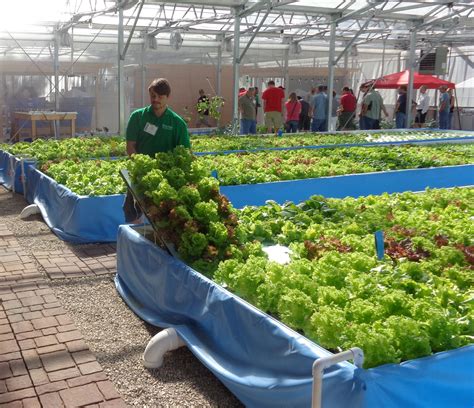 Many of the communities in every town hydroponics or aquaponics farming techniques is getting more and more popular here in malaysia especially in the urban areas. Nelson and Pade, Inc.® Donates Lettuce to Area Schools ...