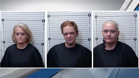 Three Women Arrested After Attempting To Burglarizing Home