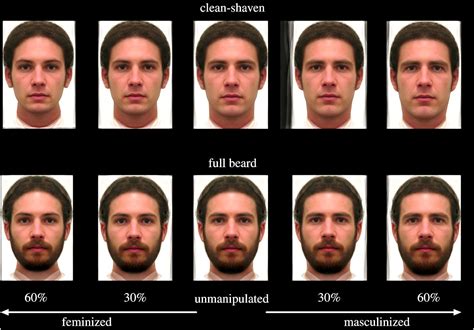 Male Attractiveness Scale 1 10