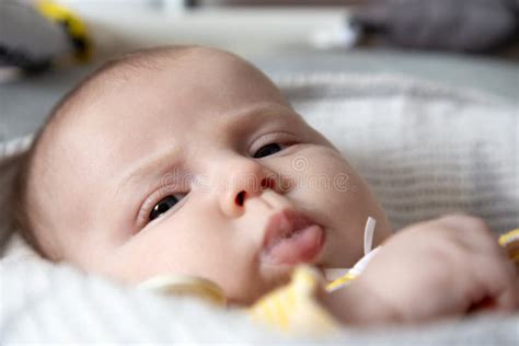 Baby Girl Drooling Stock Photos Free And Royalty Free Stock Photos From