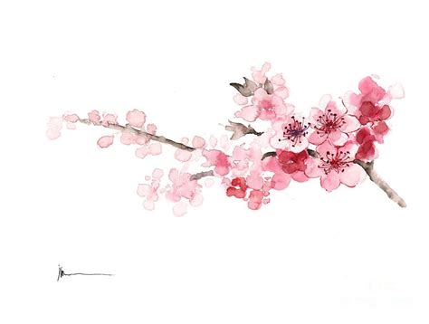 Watercolor Cherry Blossom Branch Tattoo Viraltattoo