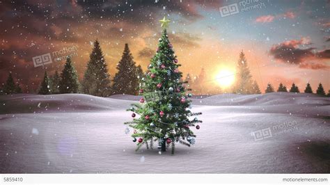 Snow Falling Christmas Tree In Snowy Landscape Stock