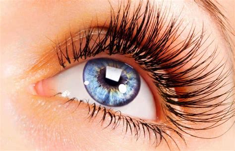 Eyelash Extensions (Carlisle) - Get Beautiful Lashes | VL Aesthetics