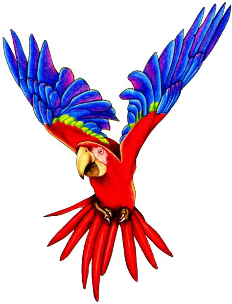 Free Flying Parrot Clipart, Download Free Flying Parrot ...