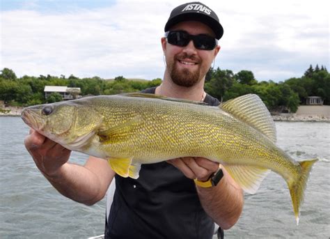 6 Expert Tactics For Catching Walleye On Windy Days Page 3 Of 8