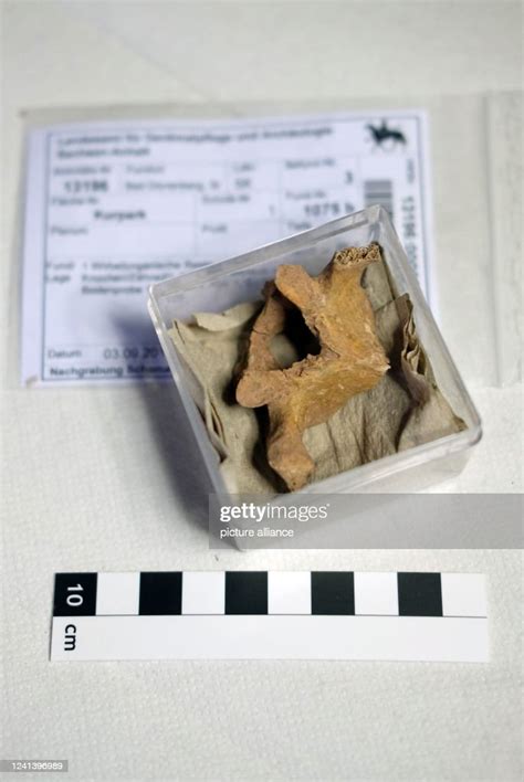 The Vertebral Bone Of A Female Shaman Buried In Bad Dürrenberg 9000