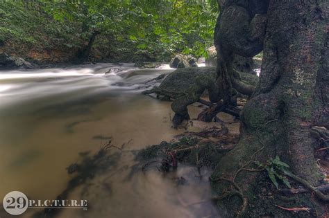 As is janggut in english? Lentang waterfall, Bentong | Janggut Inc | Flickr