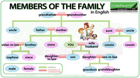 La Familia Borders Diagram Quizlet