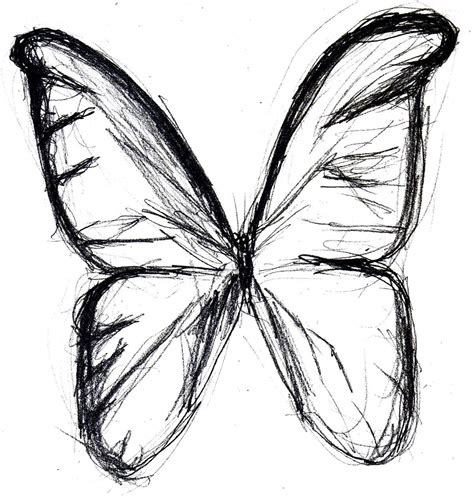 Come Disegnare Una Farfalla Passo Dopo Passo Con Matita E Pittura