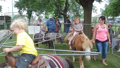 Pony Rides — Ericksons Petting Zoo