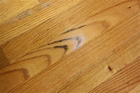 13 Spectacular Gaps In Hardwood Floor After Installation 2024