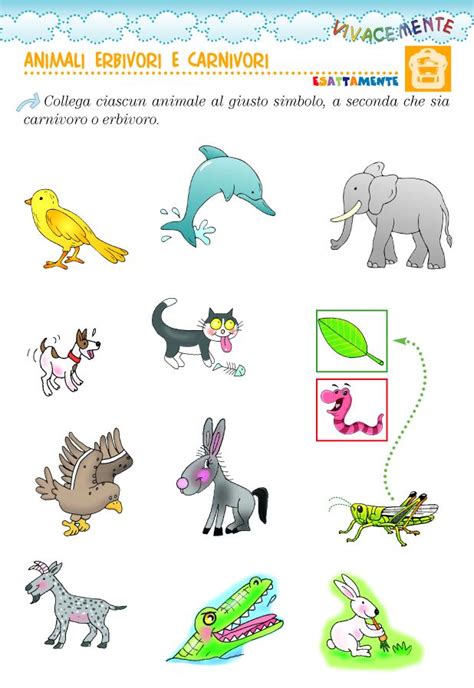 Pin Di Serena Iori Su Preschool Scienza Per Bambini Scuola Animali