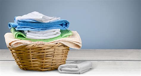 Professional Laundry Cleaning Services Company
