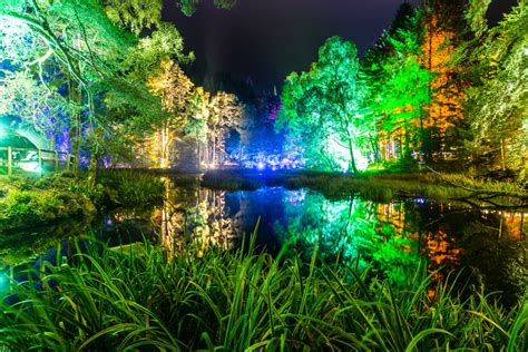 The Enchanted Forest Returns For Its 17th Year In October