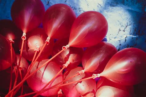 Red Water Balloons In The Sunny Pool Photograph By Windy Craig Fine