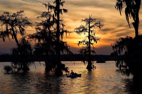 Louisiana Swamp Scene Louisiana Swamp Sunset Lake