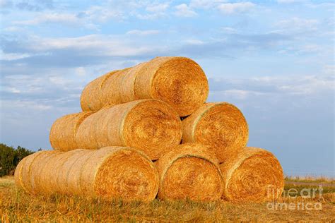 Large Hay Bales On The Meadow Photograph By Boon Mee Fine Art America