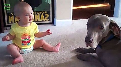 Funniest Babies And Dogs Playing Together Videos Youtube