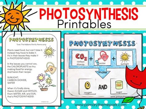Free Photosynthesis For Kids Printable Preschool Science