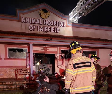 Country court animal hospital, buffalo grove, il. Fire Rages At Animal Hospital In Essex County (VIDEO ...