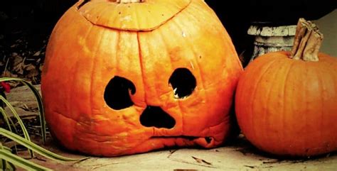 How To Pick The Perfect Pumpkin — And Keep It From Rotting