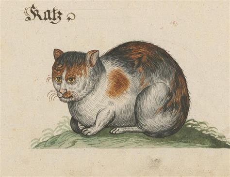 Hilariously Ugly Cat Art In Medieval Paintings
