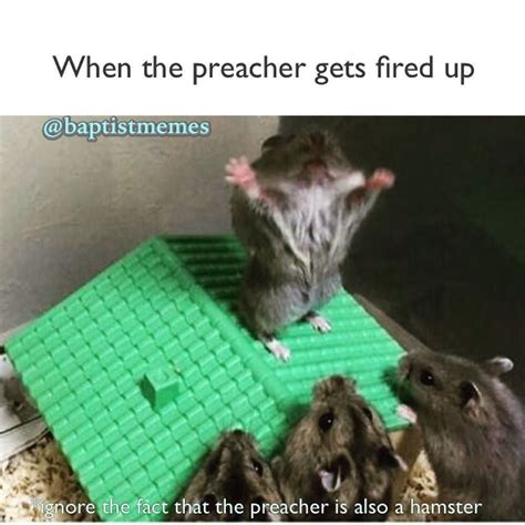 Gmx0 Baptistmemes So Whats You Learn In Church Today Funny Hamsters Cute Hamsters Cute