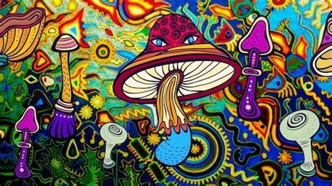 Legalizing Psychedelics California And The United States