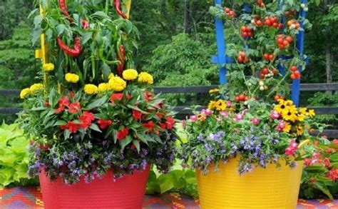10 Stunning Container Vegetable Garden Design Ideas And Tips