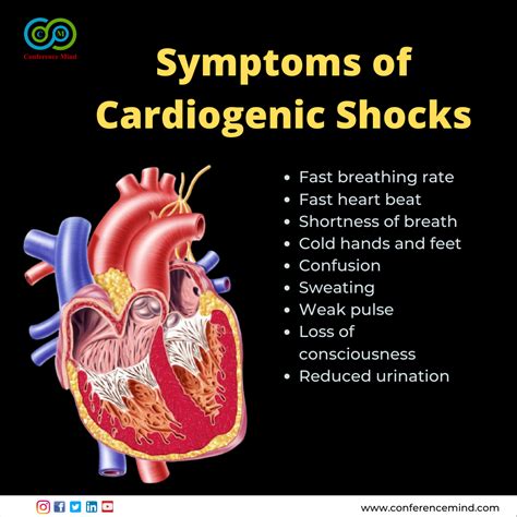 Symptoms Of Cardiogenic Shocks Fast Breathing Rate Fast Heart Beat