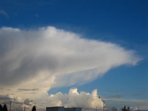 Cloud Of The Week 9 Cumulonimbus — Maria Mudd Ruth