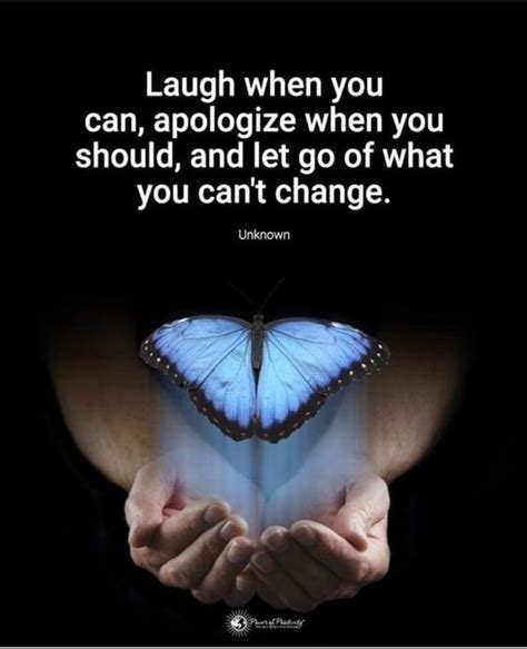 Laugh When You Can Apologize When You Should And Let Go Of What You