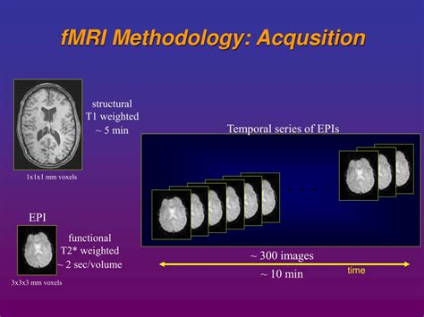 Ppt Bold Contrast Functional Imaging With Mri Powerpoint