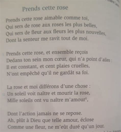 Comment Le Poète Pierre De Ronsard Considère T Il La Rose Dans Son