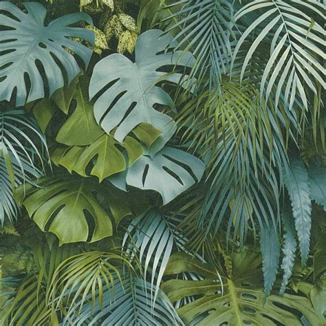 Aggregate More Than 51 Tropical Plant Wallpaper Super Hot Incdgdbentre