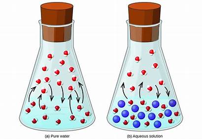 Vapor Pressure Liquid Molecules Solution Properties Colligative